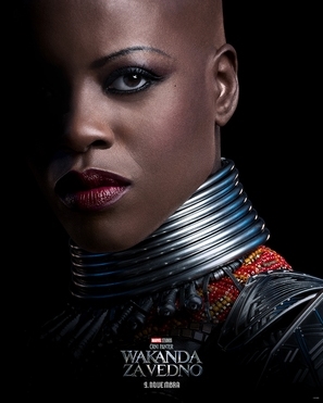 Black Panther: Wakanda Forever Poster 1899138