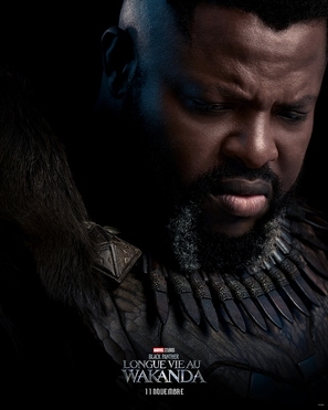 Black Panther: Wakanda Forever Poster 1902659