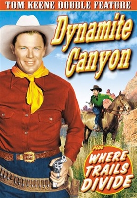 Dynamite Canyon pillow
