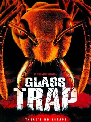 Glass Trap pillow