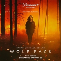 Wolf Pack hoodie #1904604