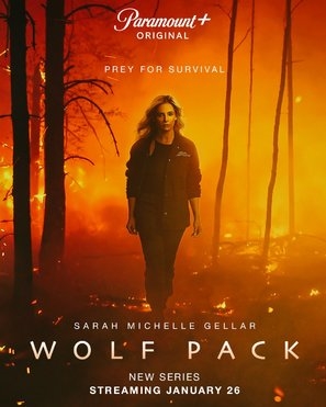 Wolf Pack Canvas Poster