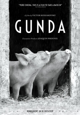 Gunda Stickers 1905331