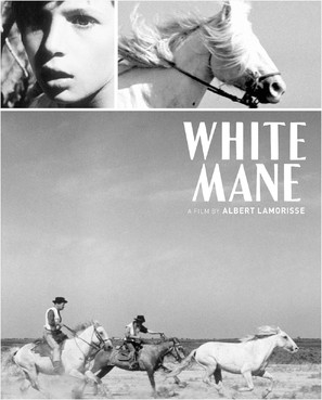 Crin blanc: Le cheval sauvage poster