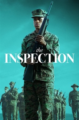 The Inspection puzzle 1908194