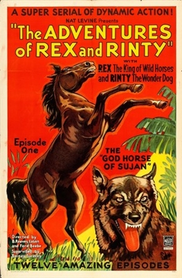 The Adventures of Rex and Rinty Metal Framed Poster