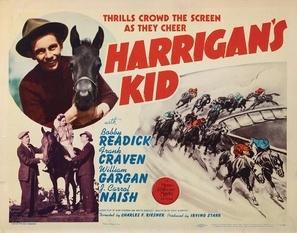 Harrigan's Kid Stickers 1910891
