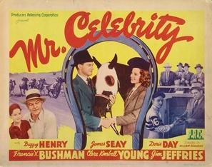 Mr. Celebrity poster