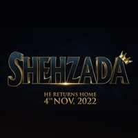 Shehzada magic mug #