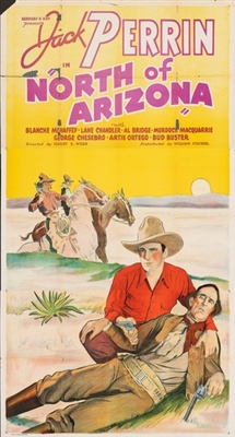 North of Arizona poster