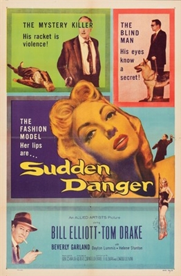 Sudden Danger puzzle 1915756