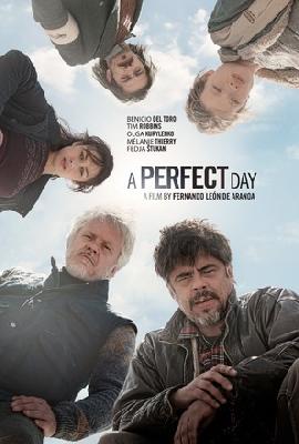 A Perfect Day Canvas Poster