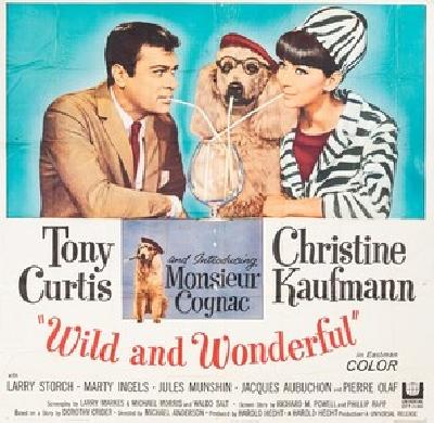 Wild and Wonderful Wooden Framed Poster
