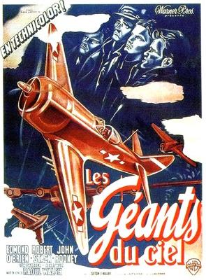 Fighter Squadron poster