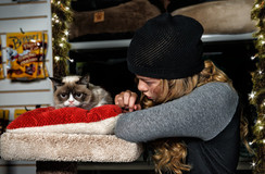 Grumpy Cat's Worst Christmas Ever pillow