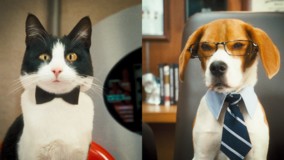 Cats & Dogs: The Revenge of Kitty Galore magic mug #