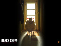 Black Sheep Poster 2001634