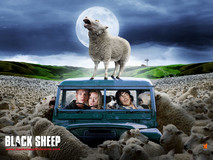 Black Sheep Poster 2001636
