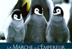 March Of The Penguins poster