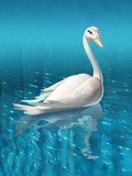 Barbie of Swan Lake Poster with Hanger