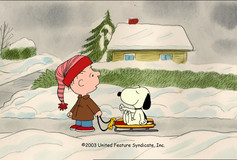 I Want a Dog for Christmas, Charlie Brown pillow