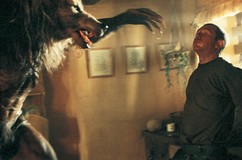 Dog Soldiers Poster 2026955
