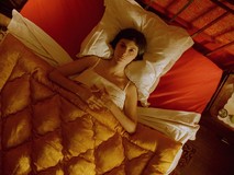 Le fabuleux destin d'Amélie Poulain Canvas Poster