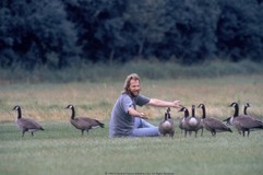 Fly Away Home Poster 2052430