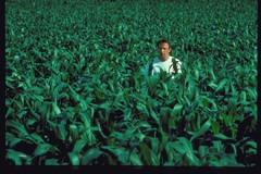 Field of Dreams Poster 2078079