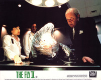 The Fly II Metal Framed Poster