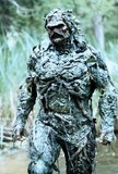 The Return of Swamp Thing Poster 2080271
