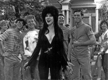 Elvira, Mistress of the Dark Longsleeve T-shirt #2081875