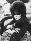 Elvira, Mistress of the Dark tote bag #