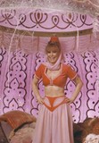 I Dream of Jeannie... Fifteen Years Later pillow