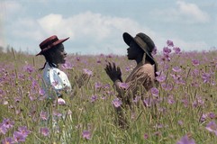 The Color Purple Poster 2094343