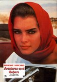 Sahara Poster 2099750