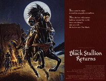 The Black Stallion Returns calendar