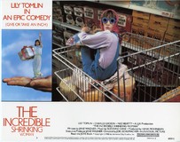 The Incredible Shrinking Woman Poster 2106931