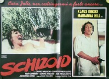 Schizoid Wooden Framed Poster