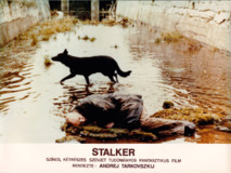 Stalker Poster 2112292
