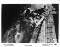 Dracula's Dog Poster 2113859