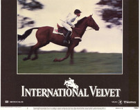International Velvet Poster with Hanger