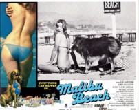 Malibu Beach Wooden Framed Poster
