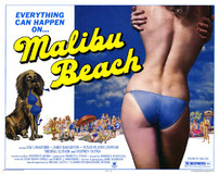 Malibu Beach Poster 2114703