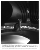 The Cat from Outer Space Poster 2115327