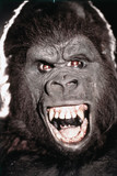 King Kong hoodie #2119416