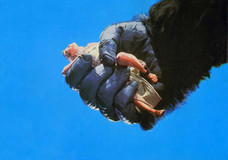 King Kong Poster 2119424
