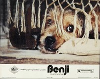 Benji Wooden Framed Poster