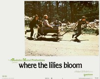 Where the Lilies Bloom Poster 2126378