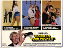 Harry in Your Pocket poster